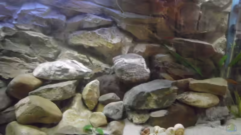 Aquarium Becken 27195 von Angelheart (5)