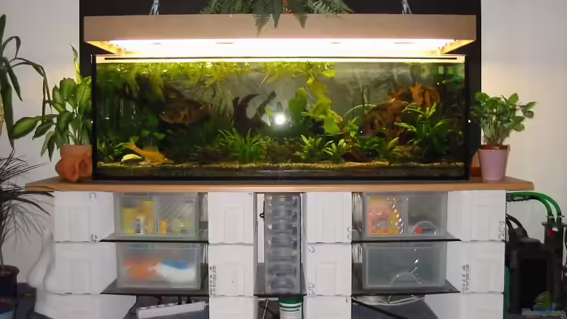 Aquarium Becken 2723 von Mike Kurz (2)