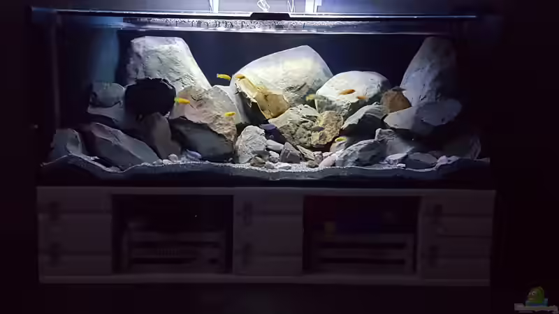 Aquarium Becken 27266 von Thomas0902 (21)