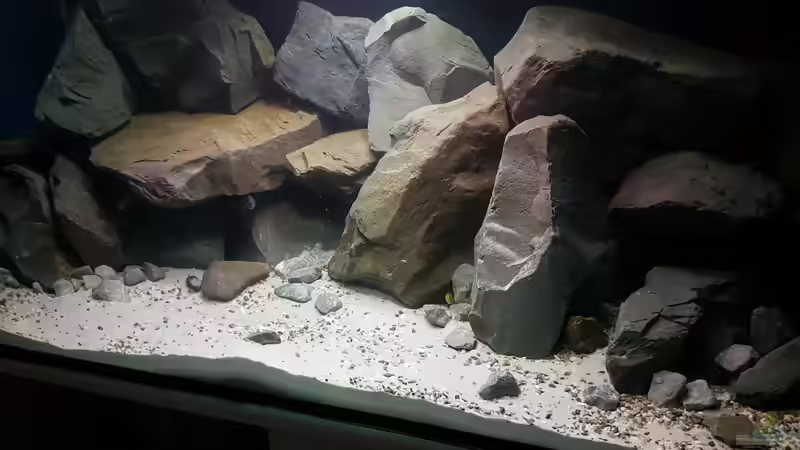 Aquarium Becken 27266 von Thomas0902 (9)