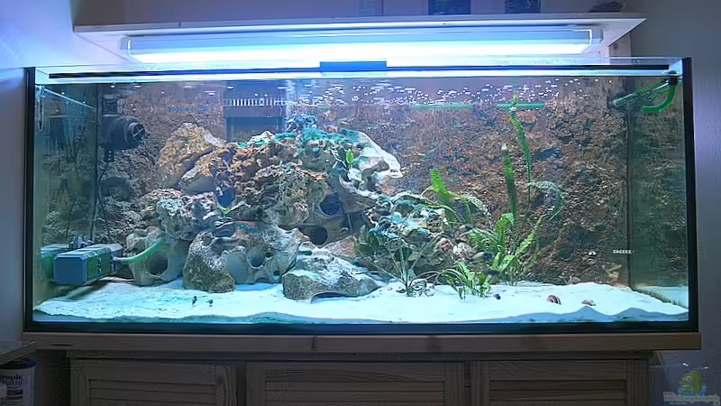 Aquarium Becken 2731 von Alexander Wagner (2)