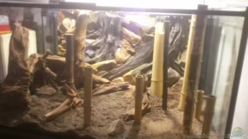 Aquarium Becken 27491 von Schakal (2)