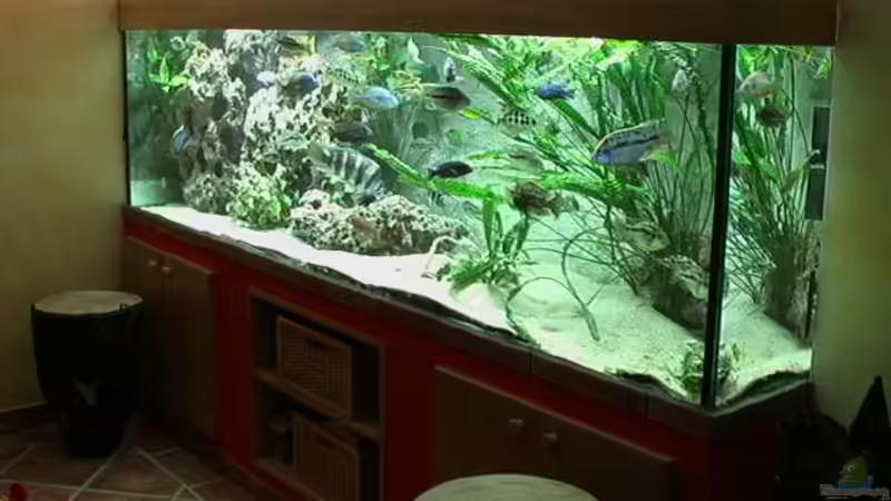 Aquarium Becken 276 von Georg Seidl (3)