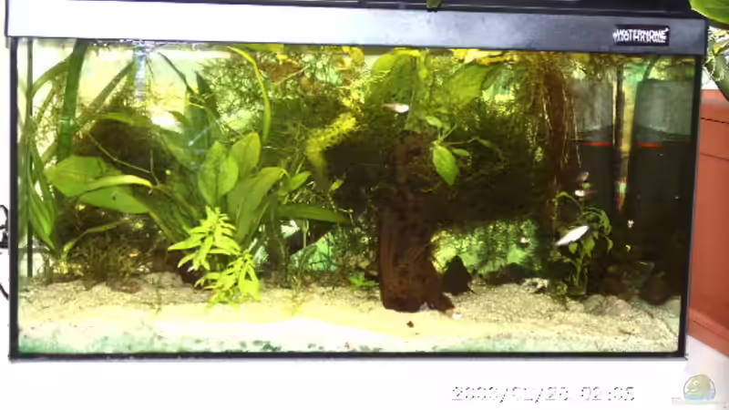 Aquarium Becken 2761 von Martin Kessinger (6)