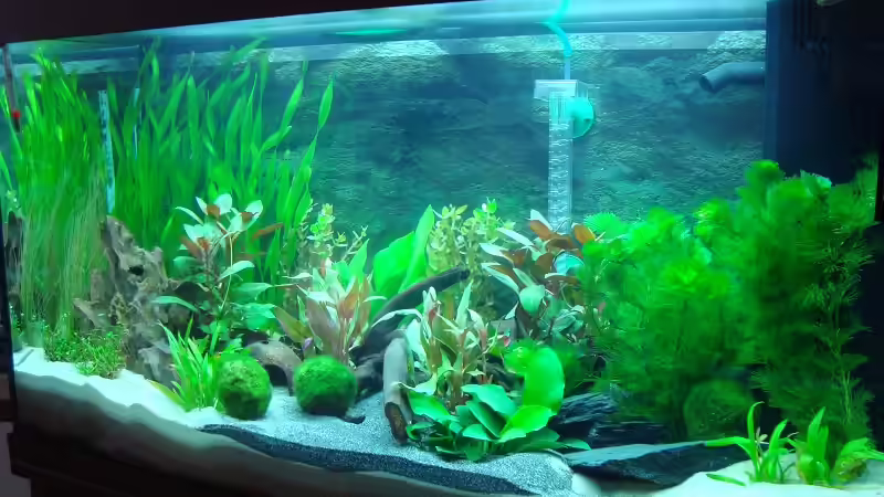 Aquarium Becken 27728 von Daniel Eder (6)