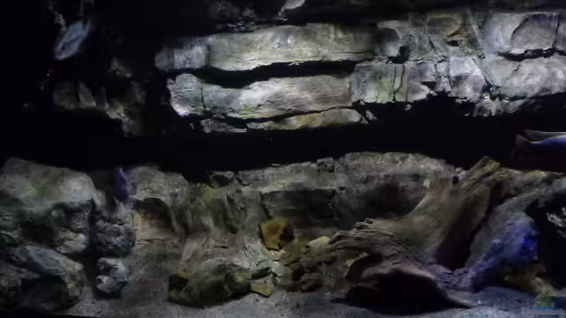 Aquarium Becken 27745 von namaycushfreak (14)