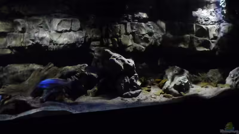 Aquarium Becken 27745 von namaycushfreak (15)