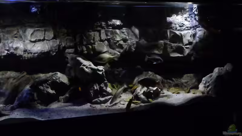 Aquarium Becken 27745 von namaycushfreak (17)