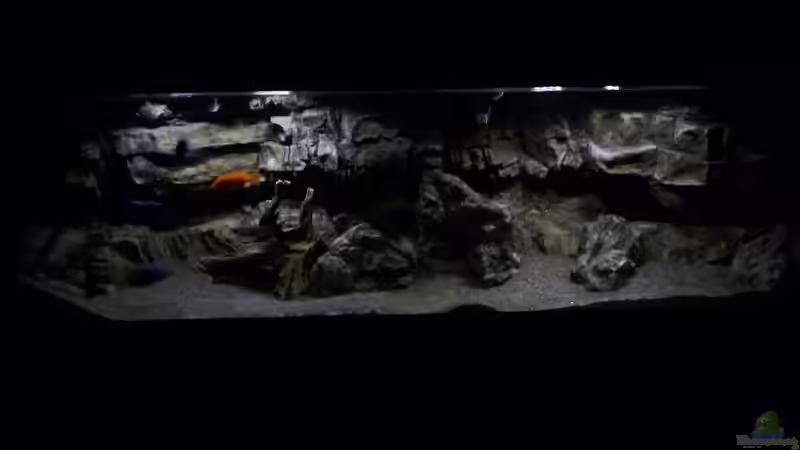 Aquarium Becken 27745 von namaycushfreak (18)