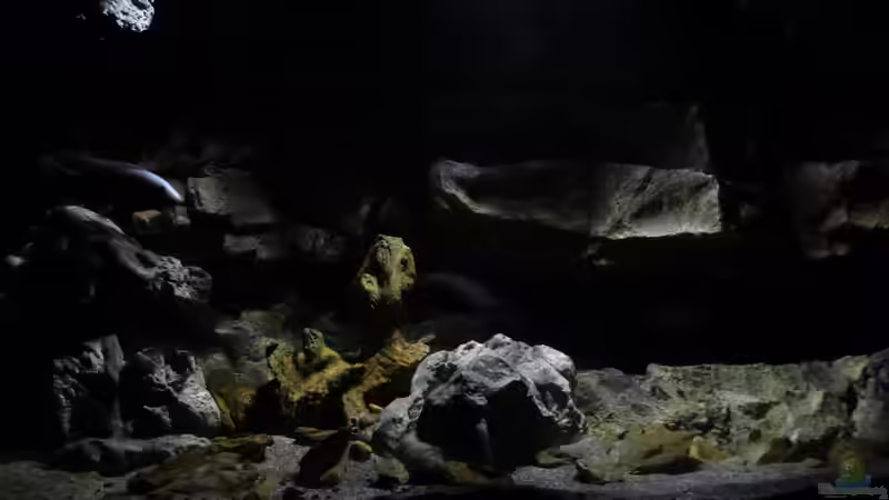 Aquarium Becken 27745 von namaycushfreak (2)