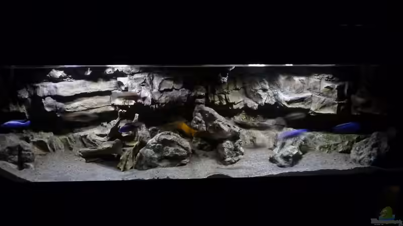 Aquarium Becken 27745 von namaycushfreak (20)