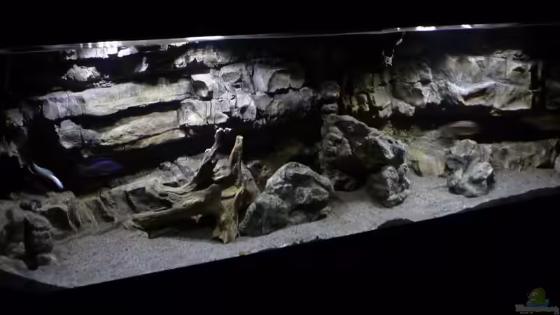 Aquarium Becken 27745 von namaycushfreak (21)