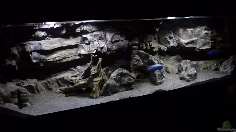 Aquarium Becken 27745 von namaycushfreak (22)