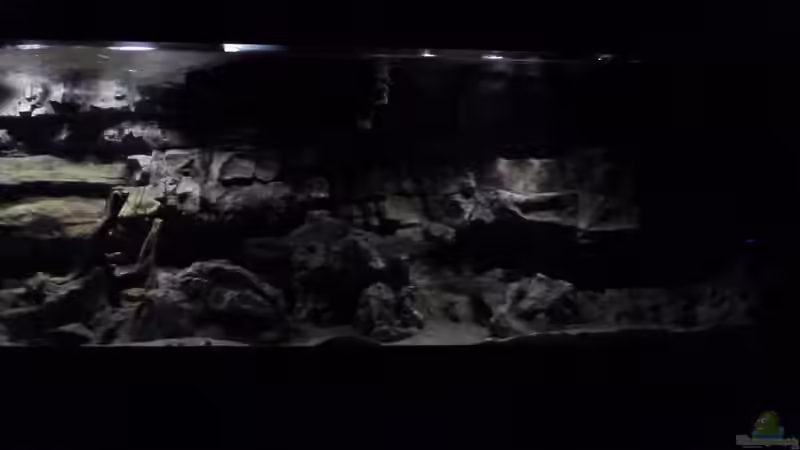 Aquarium Becken 27745 von namaycushfreak (23)