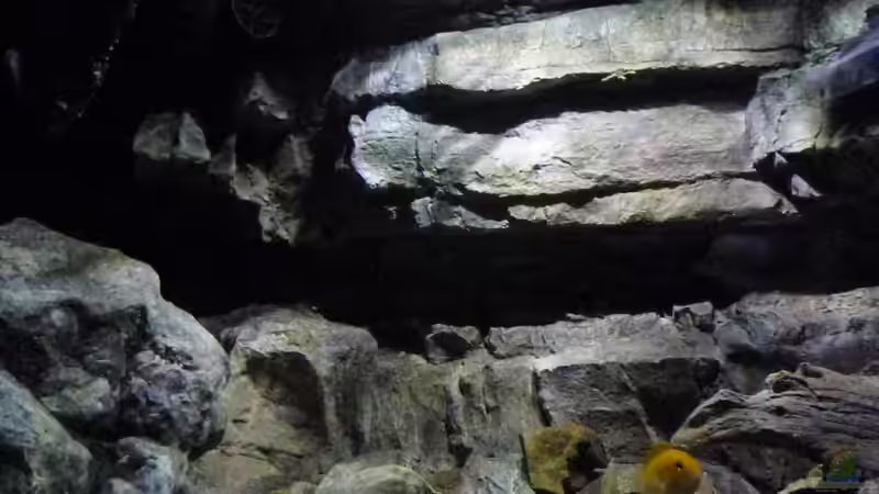 Aquarium Becken 27745 von namaycushfreak (27)