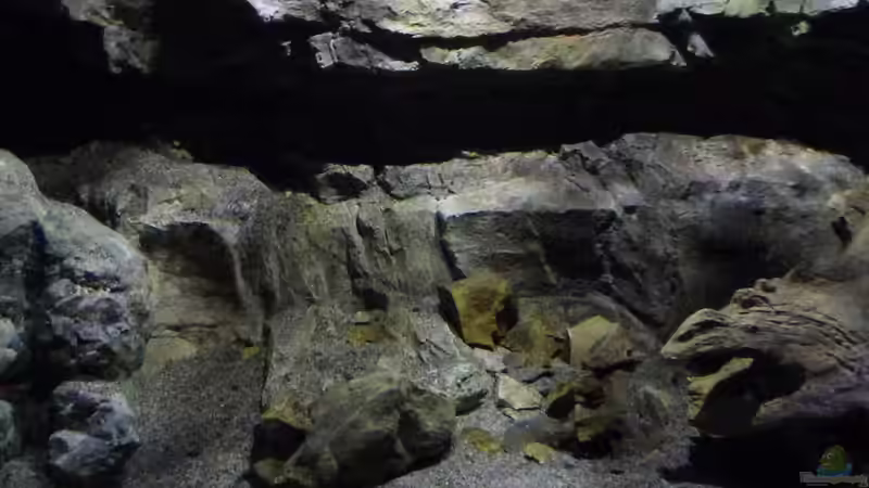 Aquarium Becken 27745 von namaycushfreak (28)