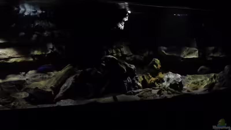 Aquarium Becken 27745 von namaycushfreak (3)