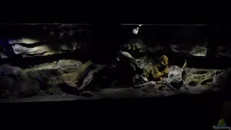 Aquarium Becken 27745 von namaycushfreak (4)