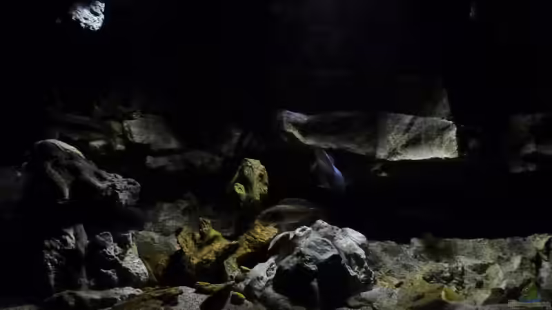 Aquarium Becken 27745 von namaycushfreak (5)