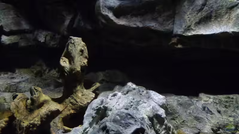 Aquarium Becken 27745 von namaycushfreak (9)