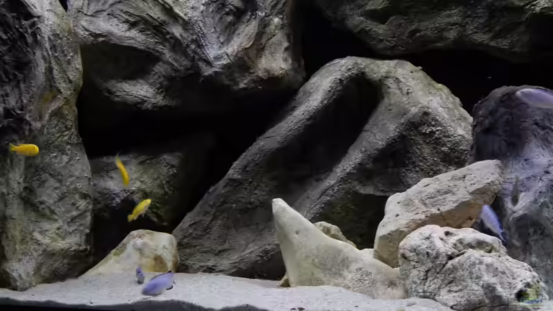 Aquarium Becken 27776 von ivi (2)