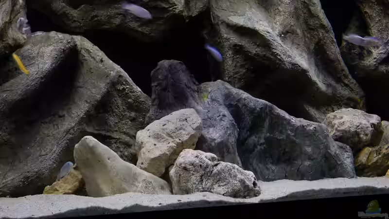 Aquarium Becken 27776 von ivi (3)