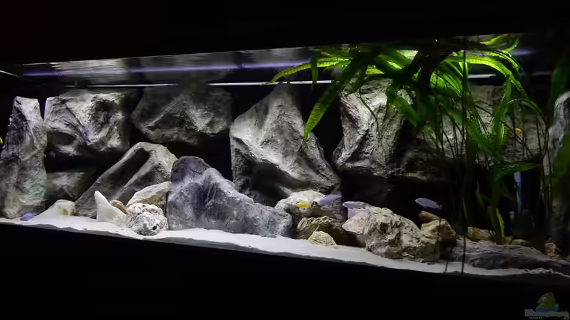 Aquarium Becken 27776 von ivi (5)