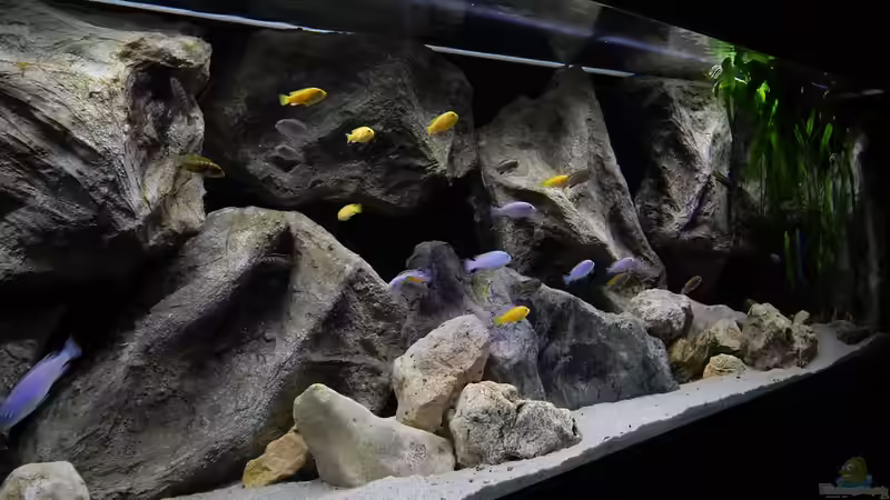 Aquarium Becken 27776 von ivi (6)