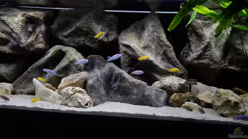 Aquarium Becken 27776 von ivi (8)