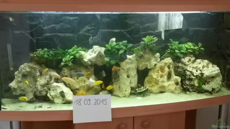 Aquarium Becken 27926 von Aspel82 (2)