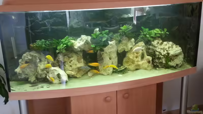 Aquarium Becken 27926 von Aspel82 (3)