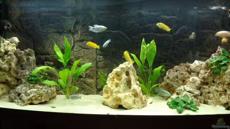 Aquarium Becken 27926 von Aspel82 (4)