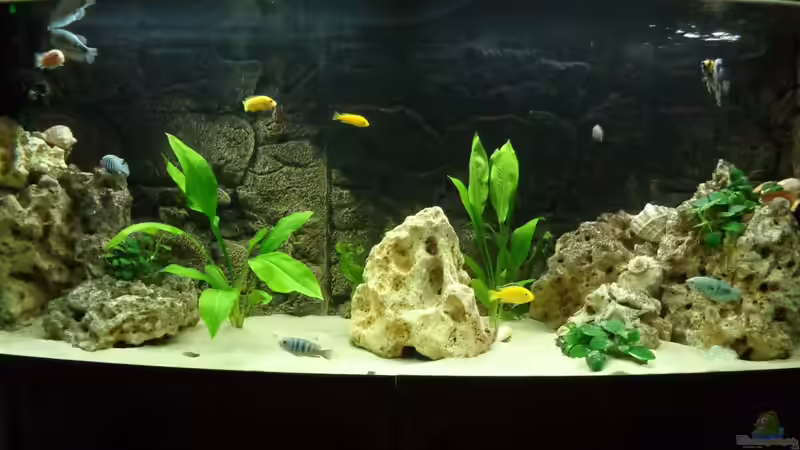 Aquarium Becken 27926 von Aspel82 (5)