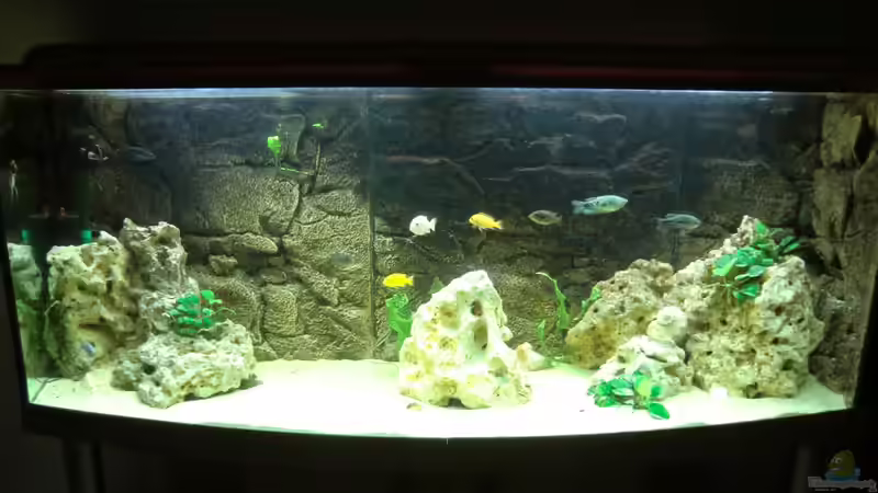Aquarium Becken 27926 von Aspel82 (7)