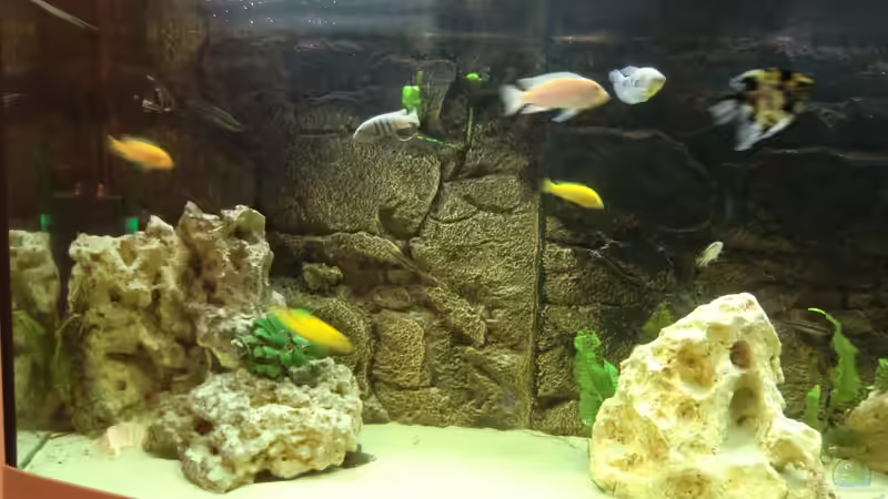 Aquarium Becken 27926 von Aspel82 (8)