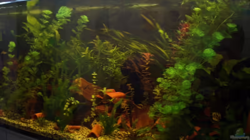 Aquarium Becken 2795 von Andreas Kneissler (2)