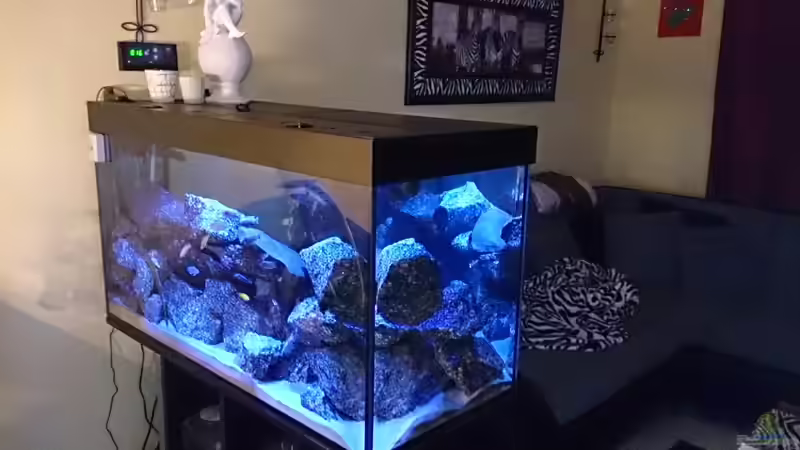 Aquarium Becken 28016 von Florian Suft (8)