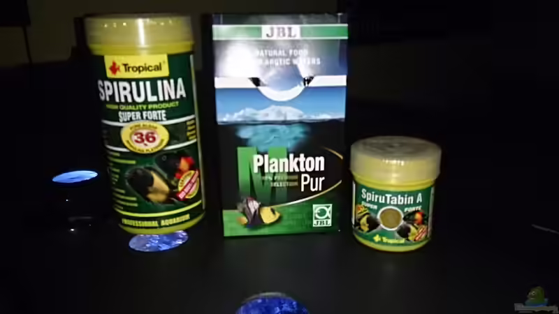 Aquarium Becken 28016 von Florian Suft (9)