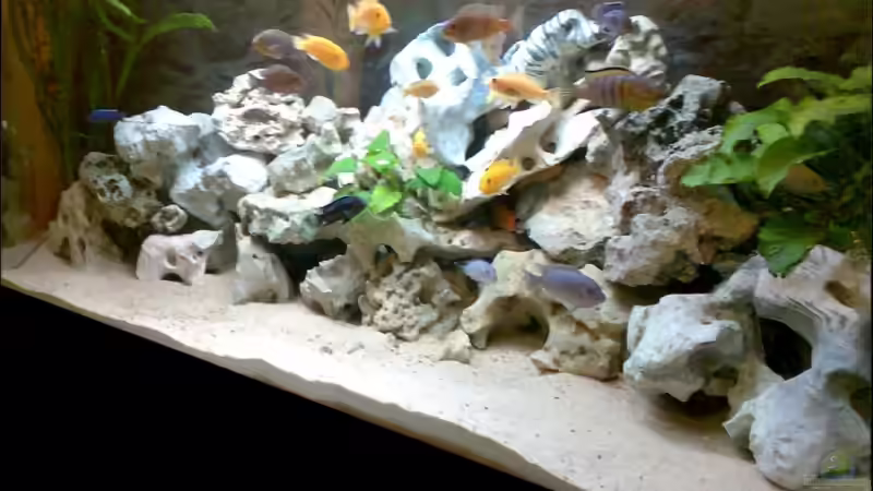 Aquarium Becken 2802 von Jan Metschurin (3)