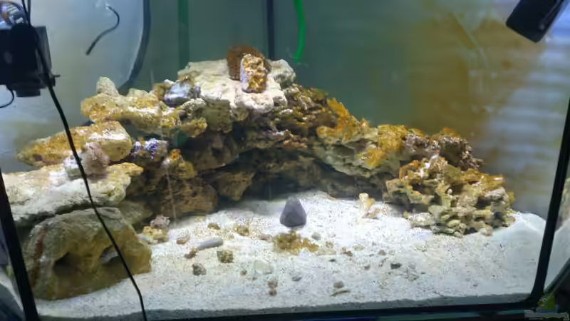 Aquarium Becken 28039 von Freakesoit (2)