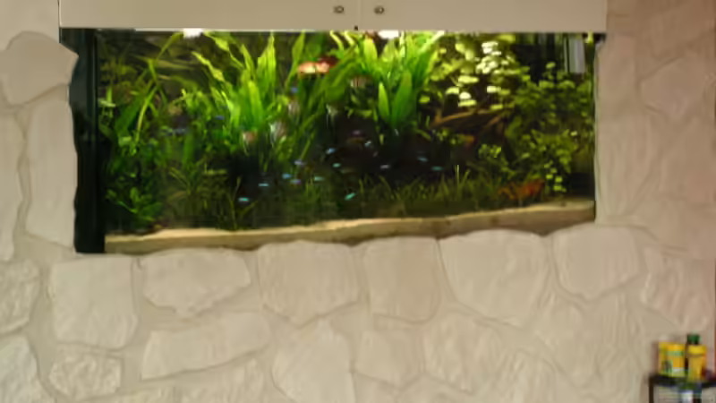 Aquarium Becken 2813 von Heiko Schneider (4)