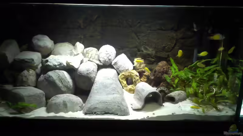 Aquarium Becken 28171 von Paul8 (3)