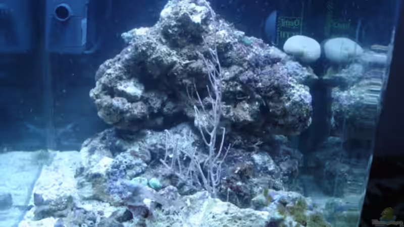 Aquarium Becken 28227 von hej kompisar (5)