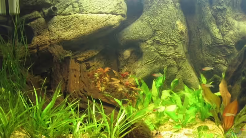 Aquarium Becken 2842 von Torsten Barthel (2)