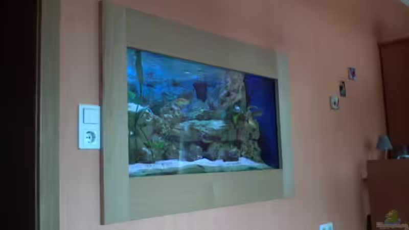 Aquarium Becken 2847 von Sören Petersen (2)