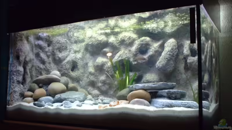 Aquarium Becken 286 von Ralf Romer (2)