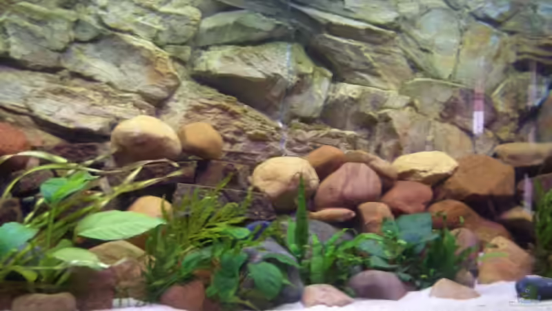 Aquarium Becken 2860 von Holger Spretz (2)