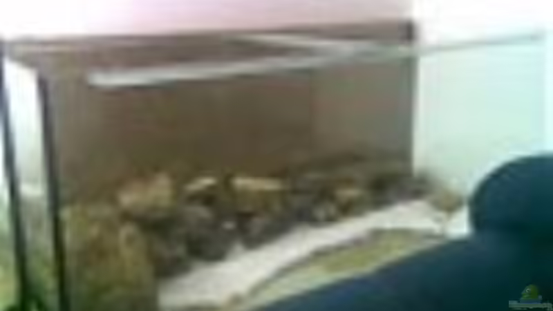 Aquarium Becken 2868 von Kai Dinkel (2)