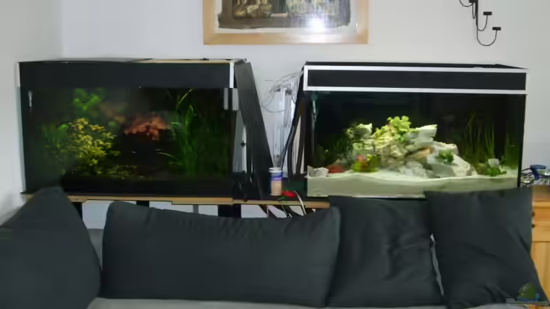 Aquarium Becken 2871 von Martin Kühnel (3)