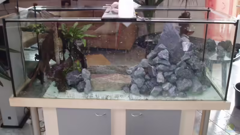 Aquarium Becken 2903 von Stefan Matz (2)